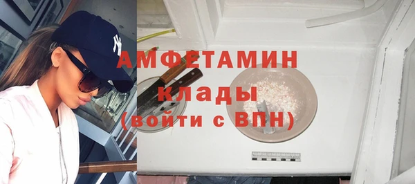 спиды Ельня