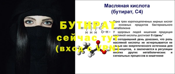 спиды Ельня