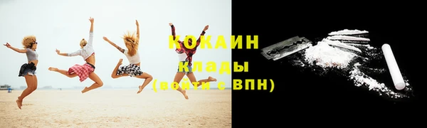 ALPHA PVP Елизово