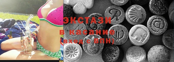 спиды Ельня