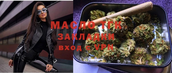 тгк Дмитриев