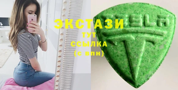 спиды Ельня