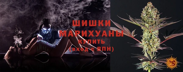 ALPHA PVP Елизово