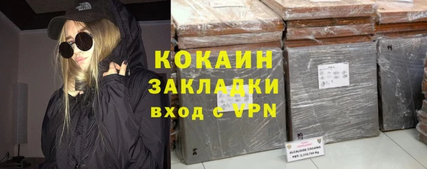 спиды Ельня