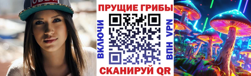 Купить  Великий Устюг  Псилоцибиновые грибы Psilocybine cubensis 