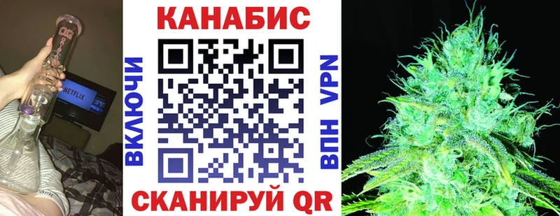 Купить  Великий Устюг  Конопля планчик 